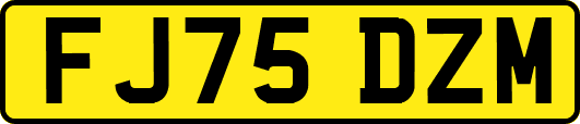 FJ75DZM