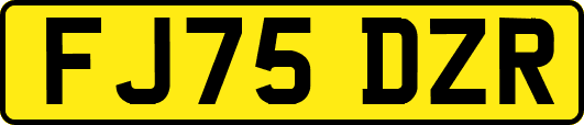FJ75DZR