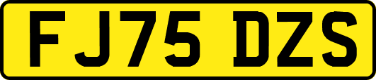 FJ75DZS