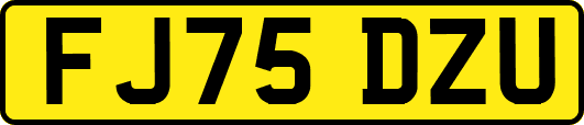 FJ75DZU