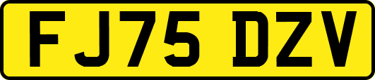 FJ75DZV