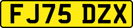 FJ75DZX