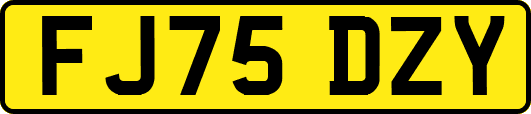 FJ75DZY