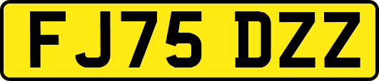 FJ75DZZ