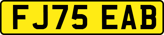 FJ75EAB