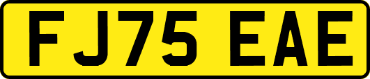 FJ75EAE
