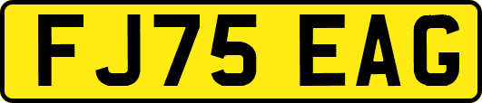FJ75EAG