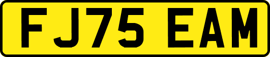 FJ75EAM