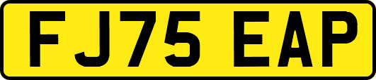 FJ75EAP