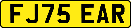 FJ75EAR