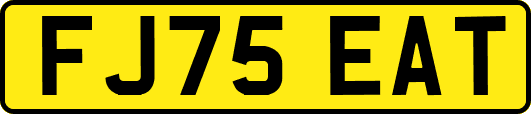 FJ75EAT