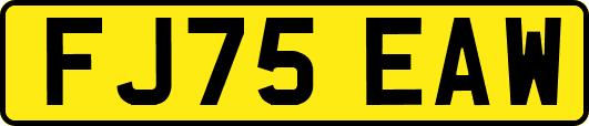FJ75EAW