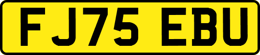 FJ75EBU