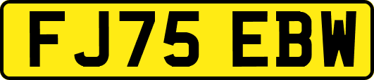 FJ75EBW