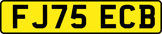 FJ75ECB
