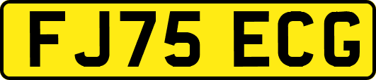 FJ75ECG