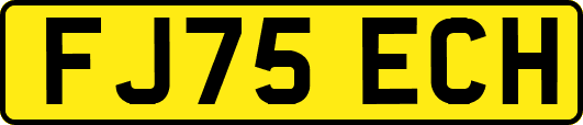 FJ75ECH