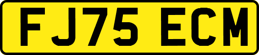 FJ75ECM