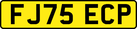 FJ75ECP