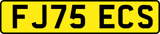 FJ75ECS