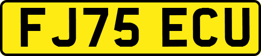 FJ75ECU