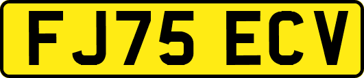 FJ75ECV