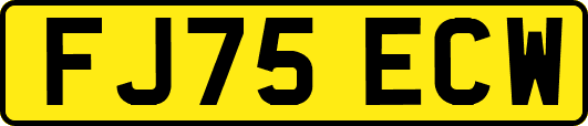 FJ75ECW