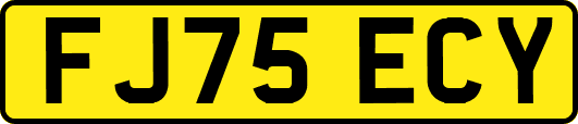 FJ75ECY