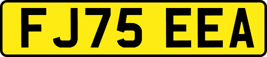 FJ75EEA