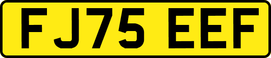 FJ75EEF