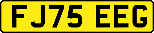 FJ75EEG