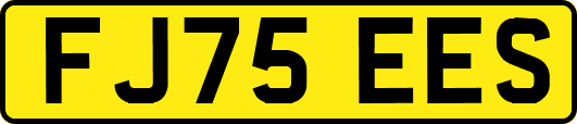 FJ75EES