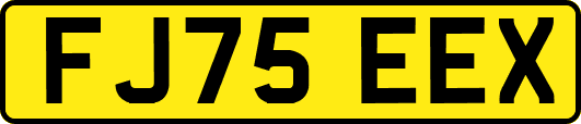 FJ75EEX