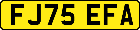 FJ75EFA