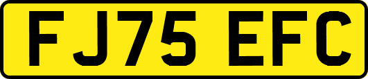 FJ75EFC