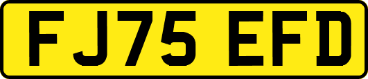 FJ75EFD