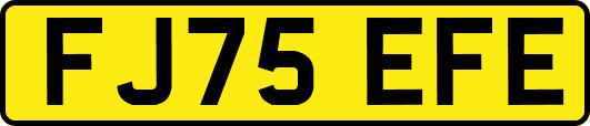 FJ75EFE