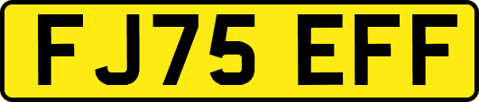 FJ75EFF