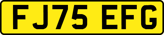 FJ75EFG