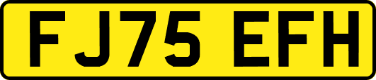 FJ75EFH