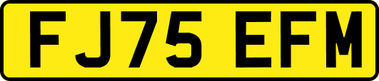 FJ75EFM