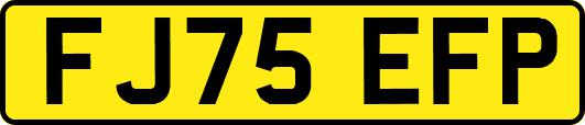 FJ75EFP