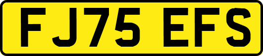 FJ75EFS