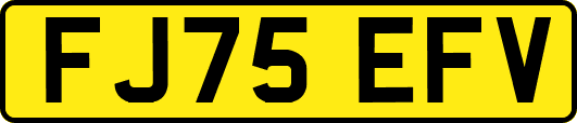 FJ75EFV