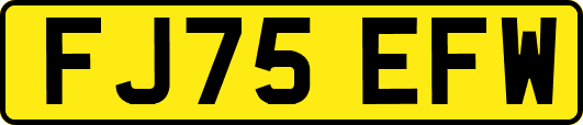 FJ75EFW