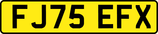 FJ75EFX