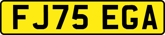 FJ75EGA