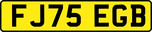 FJ75EGB