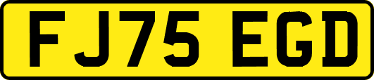 FJ75EGD