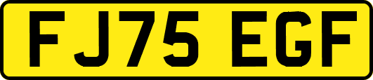 FJ75EGF